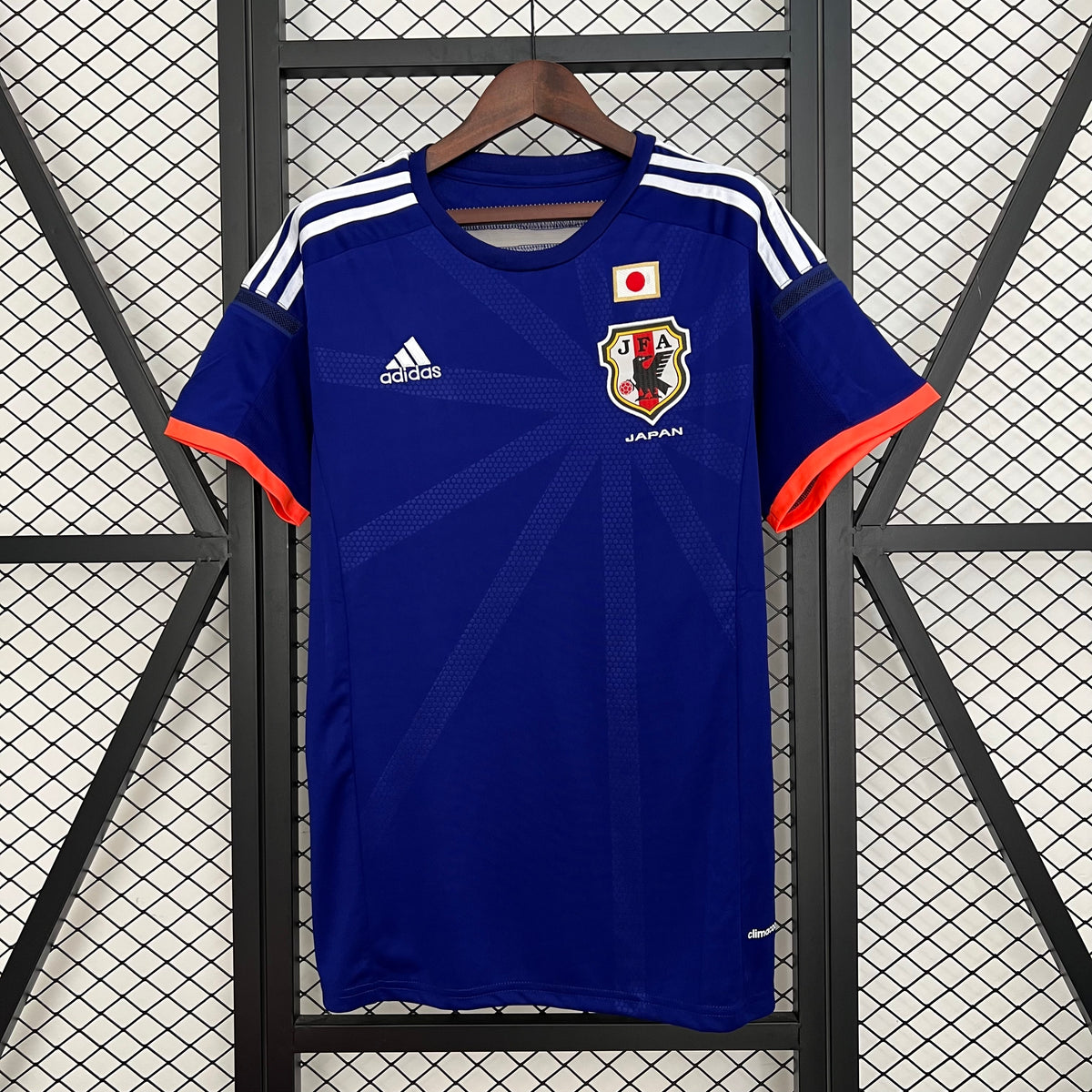 Japón 2014