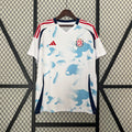 Costa Rica Visitante 2024
