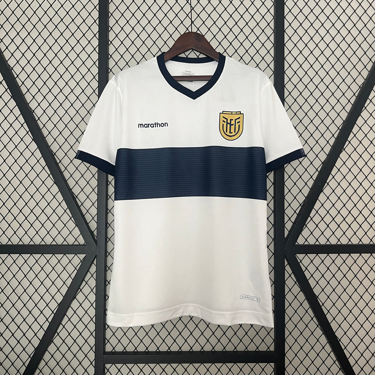 Ecuador Visitante 2024