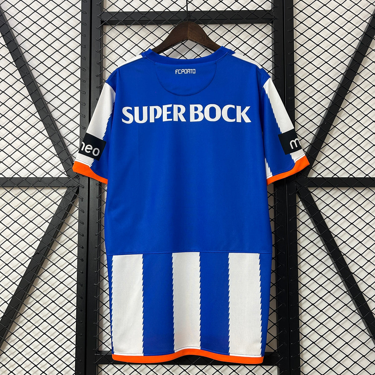 FC Porto 10/11