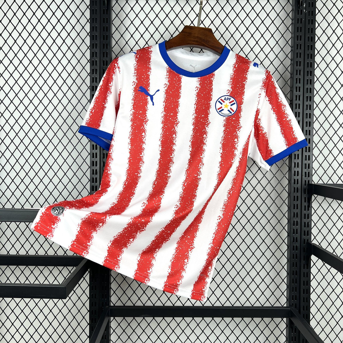 Paraguay 2026