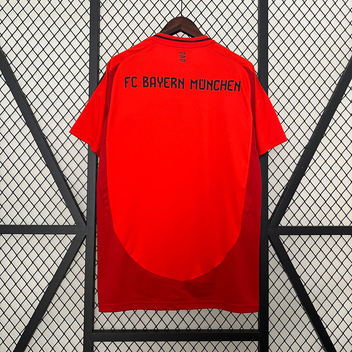 FC Bayern Munich 24/25